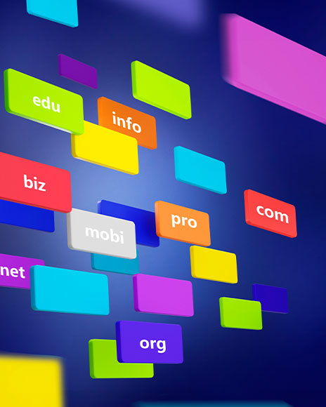 Backlink Oluşturma ve Yönetimi